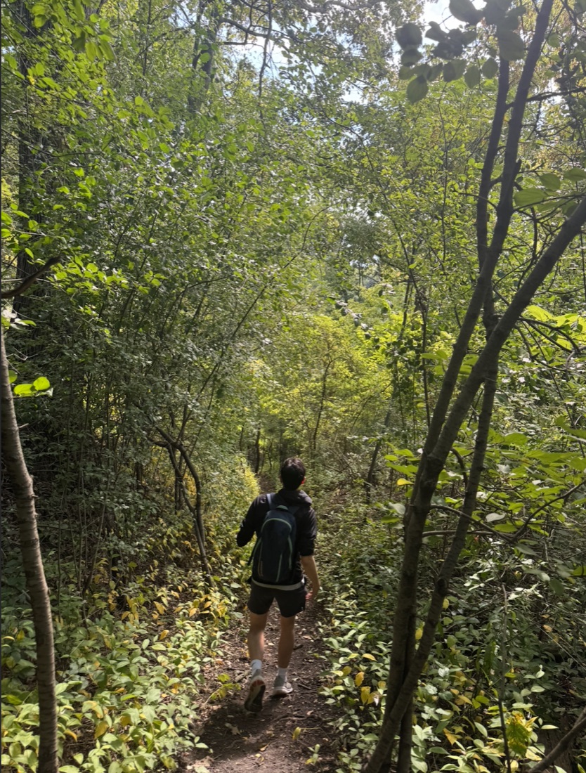 Hiking a wooded trail, Toronto