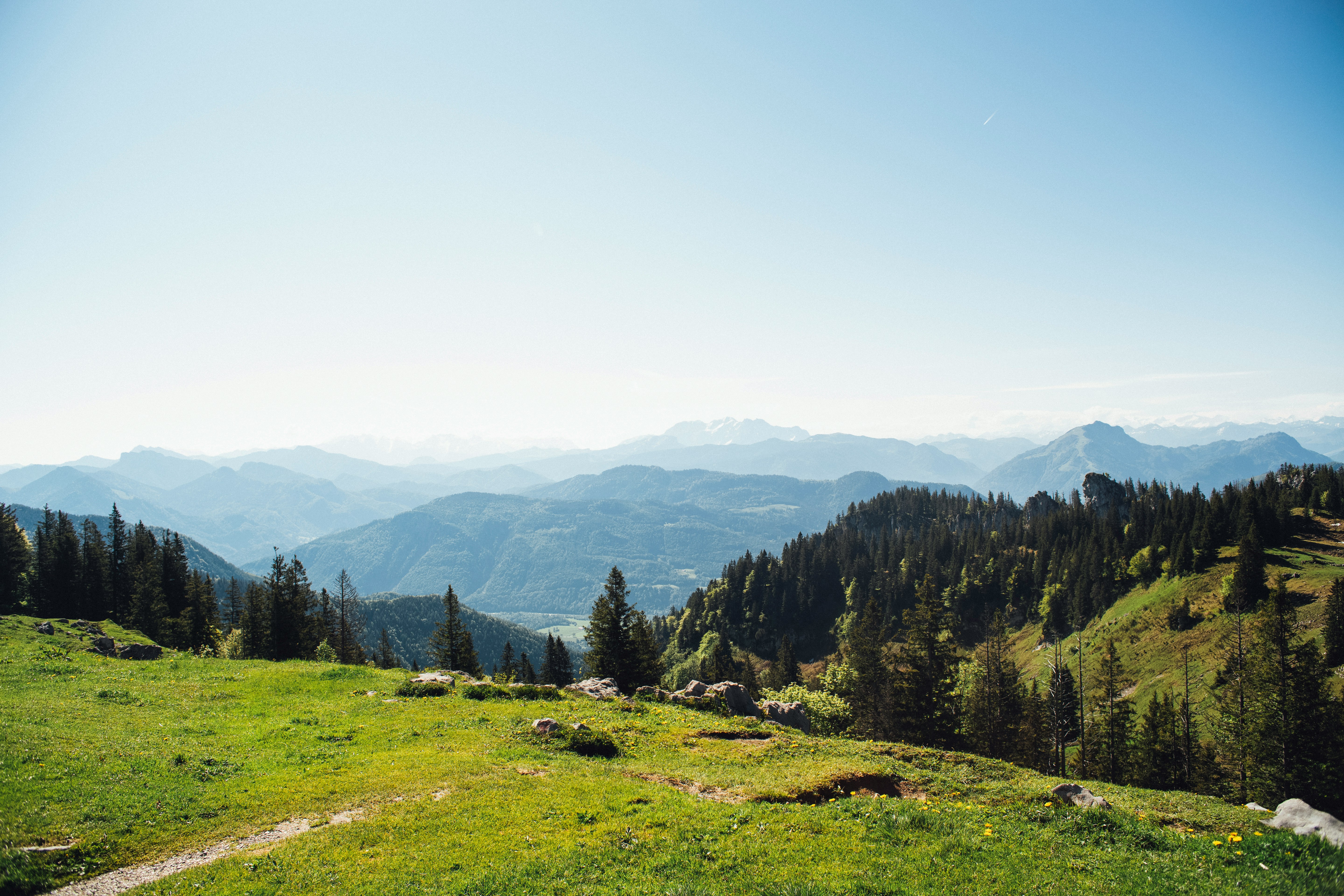 The Bavarian forest in winter